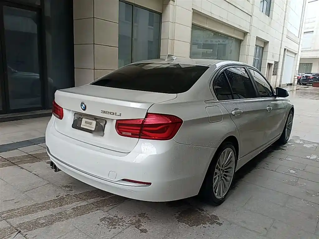 BMW 3 Series 2018 320Li Fashion Style фото 7