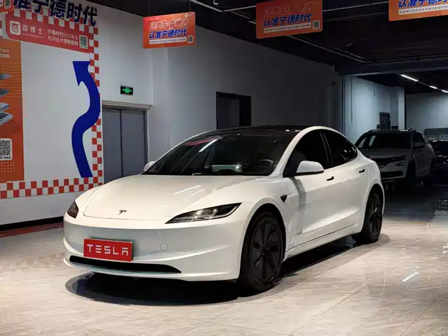 Tesla Model 3 Задний привод