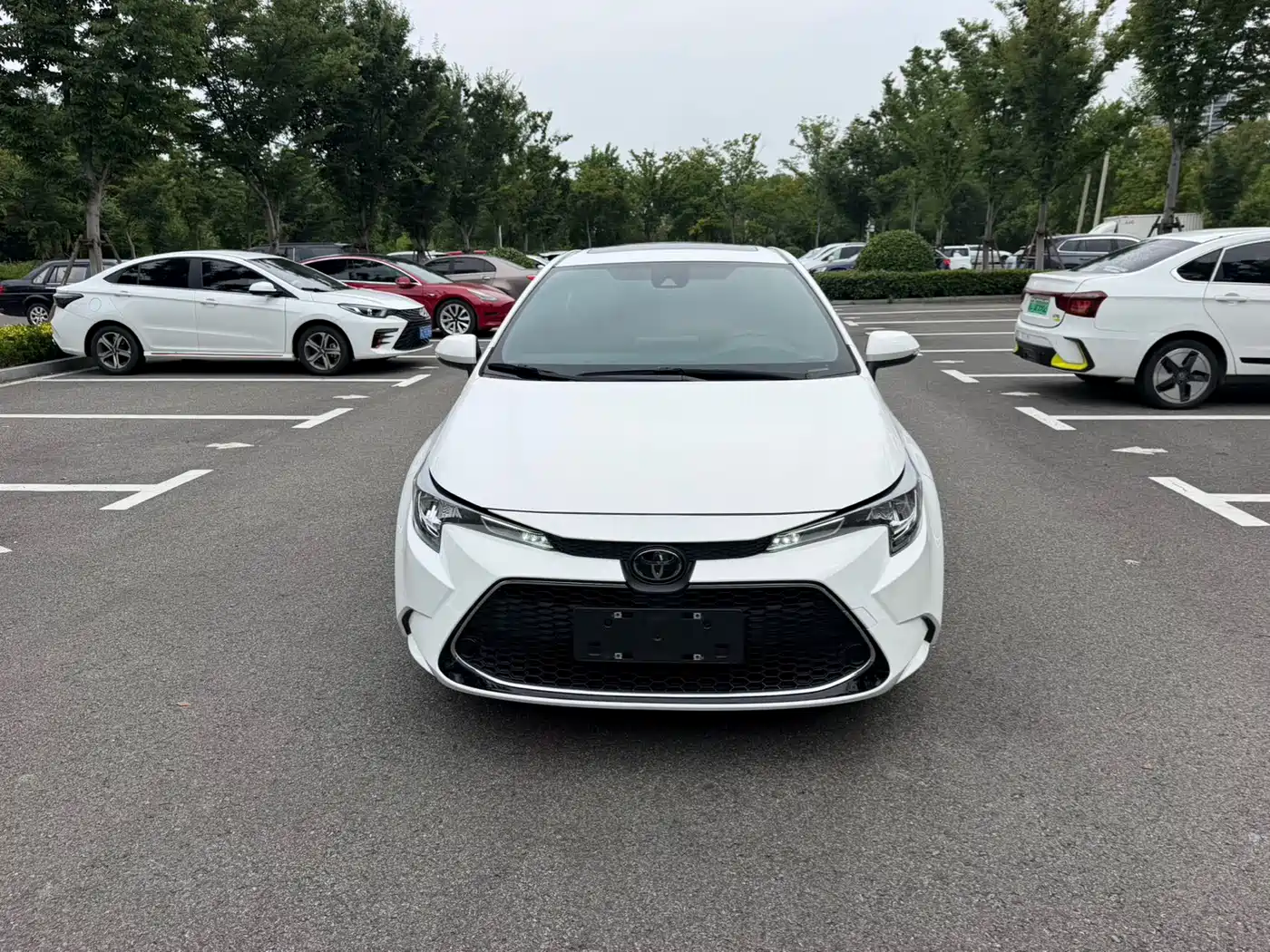 Toyota Levin, миниатюра 2