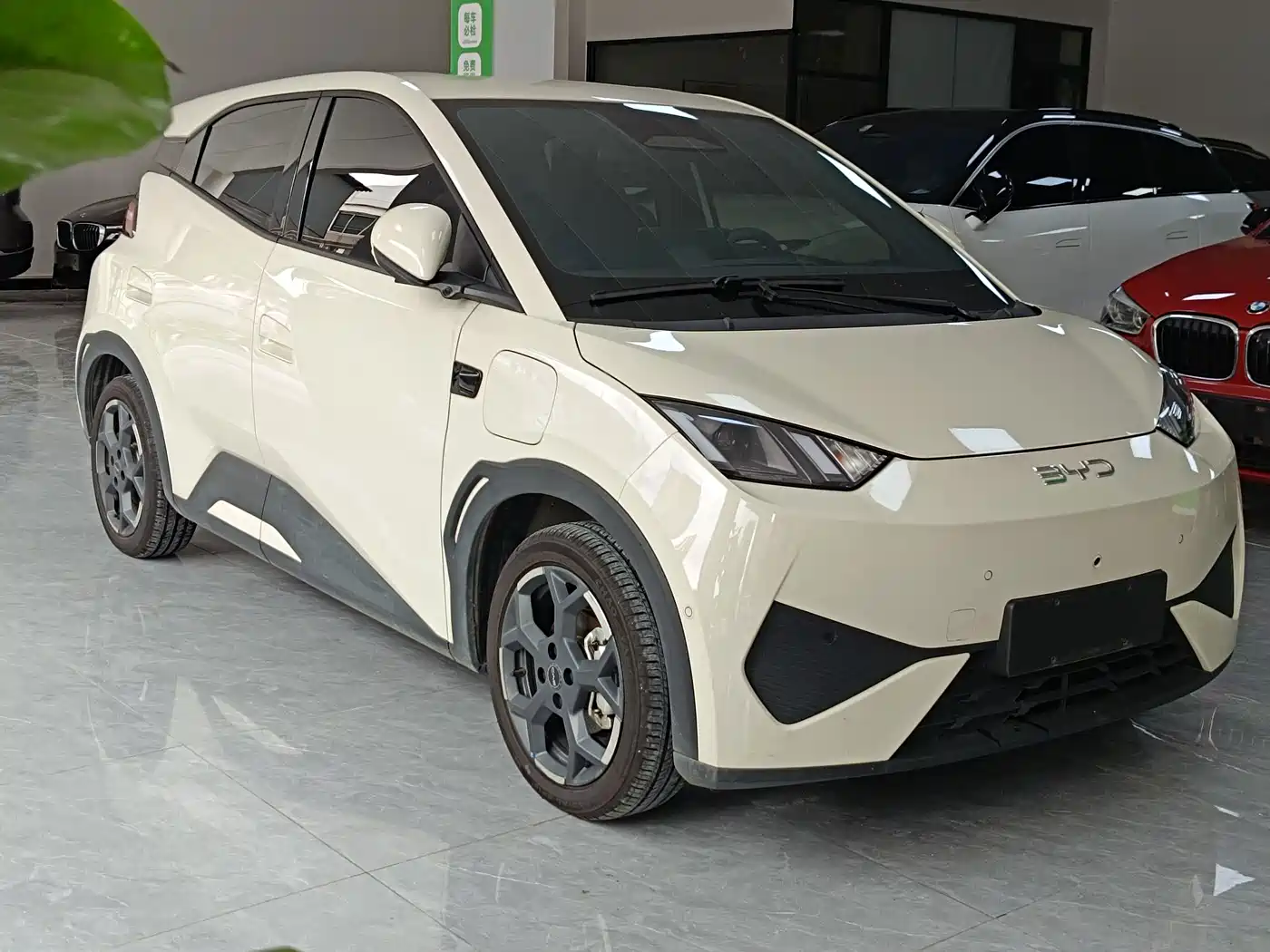 BYD Seagull 2026