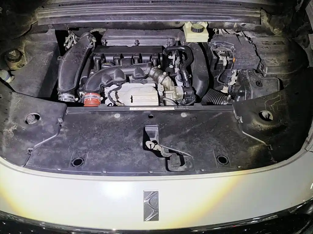 Фото 3 - DS 5