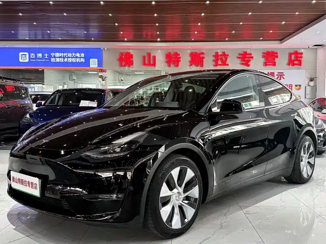 Tesla Model Y 2021 Standard Range Rear-Wheel Drive