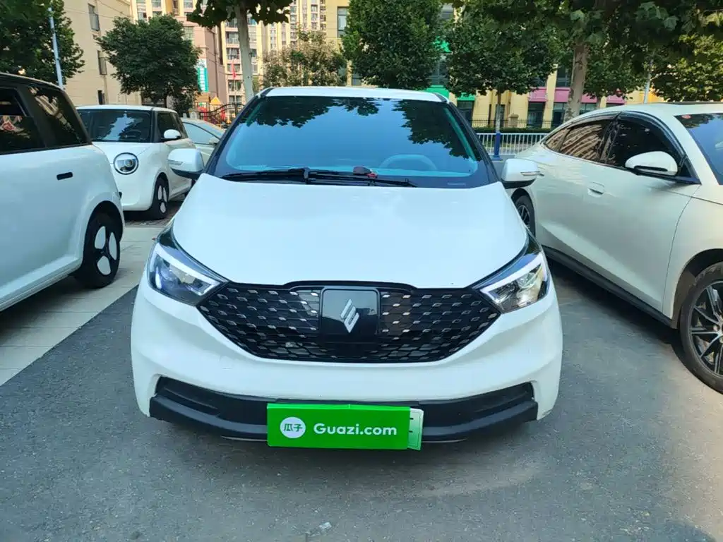 JMCG New Energy Yizhi EV3 2024 2024 Youth Edition 330KM Comfort