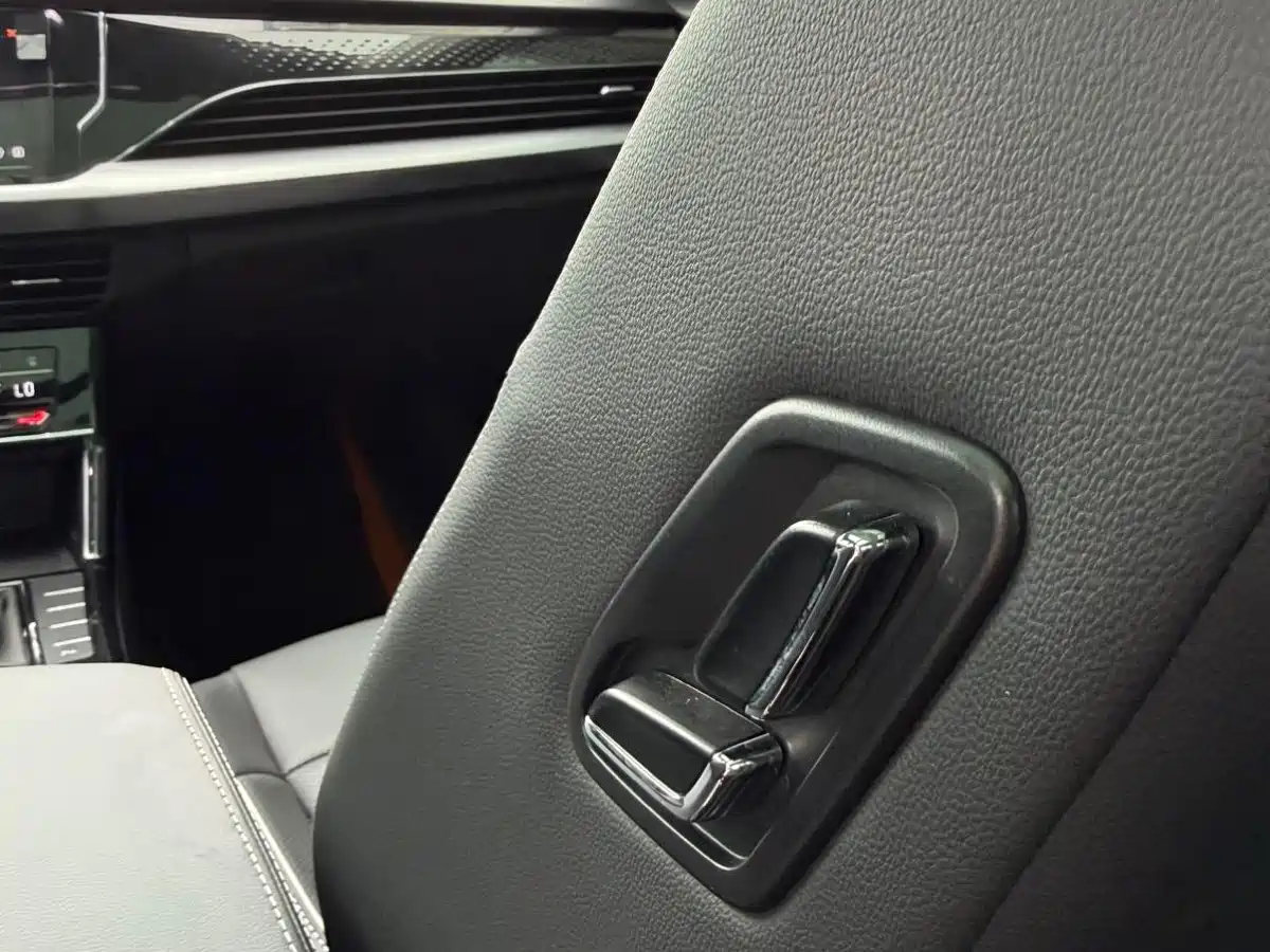Volkswagen Passat 2024 380TSI Starlight Luxury Edition фото 21