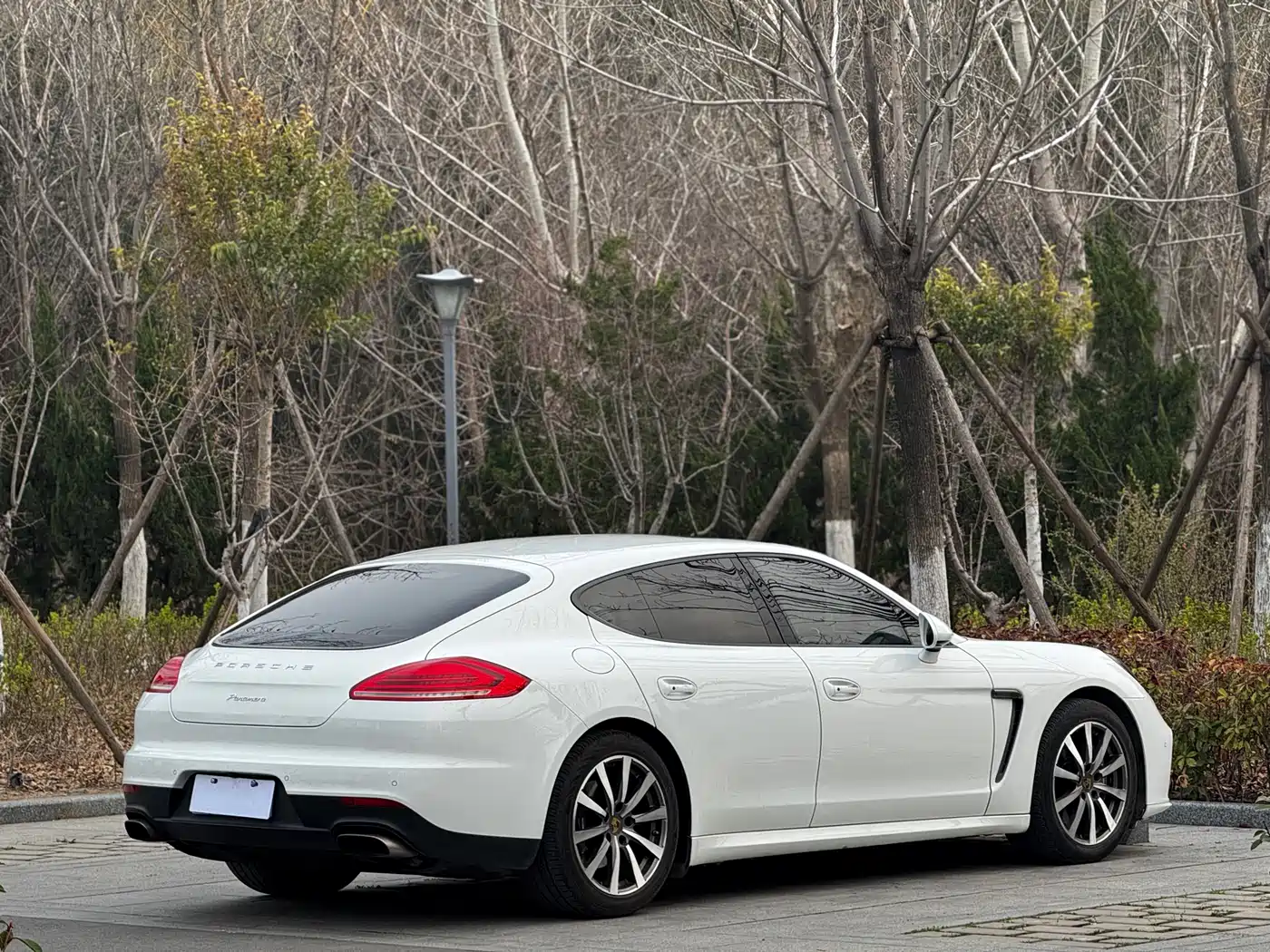 Porsche Panamera 2014 Panamera 3.0T фото 6