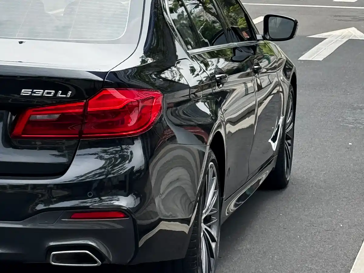 BMW 5 Series 2020 530Li Leading M Sport Package фото 16
