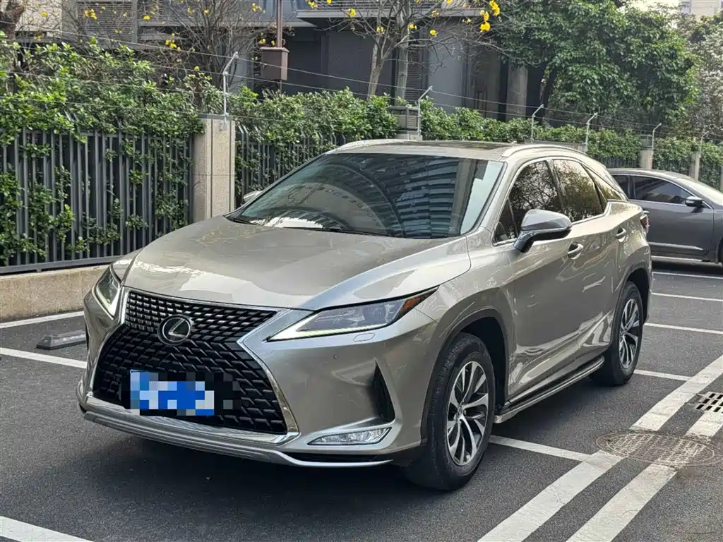 Lexus RX 2020 300 2WD Comfort Edition China V