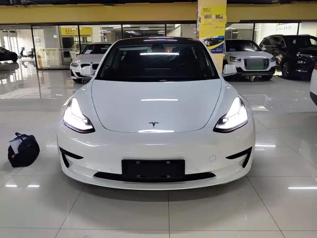 Tesla Model 3 2020 2020 Standard Range Rear-Wheel Drive Upgrade