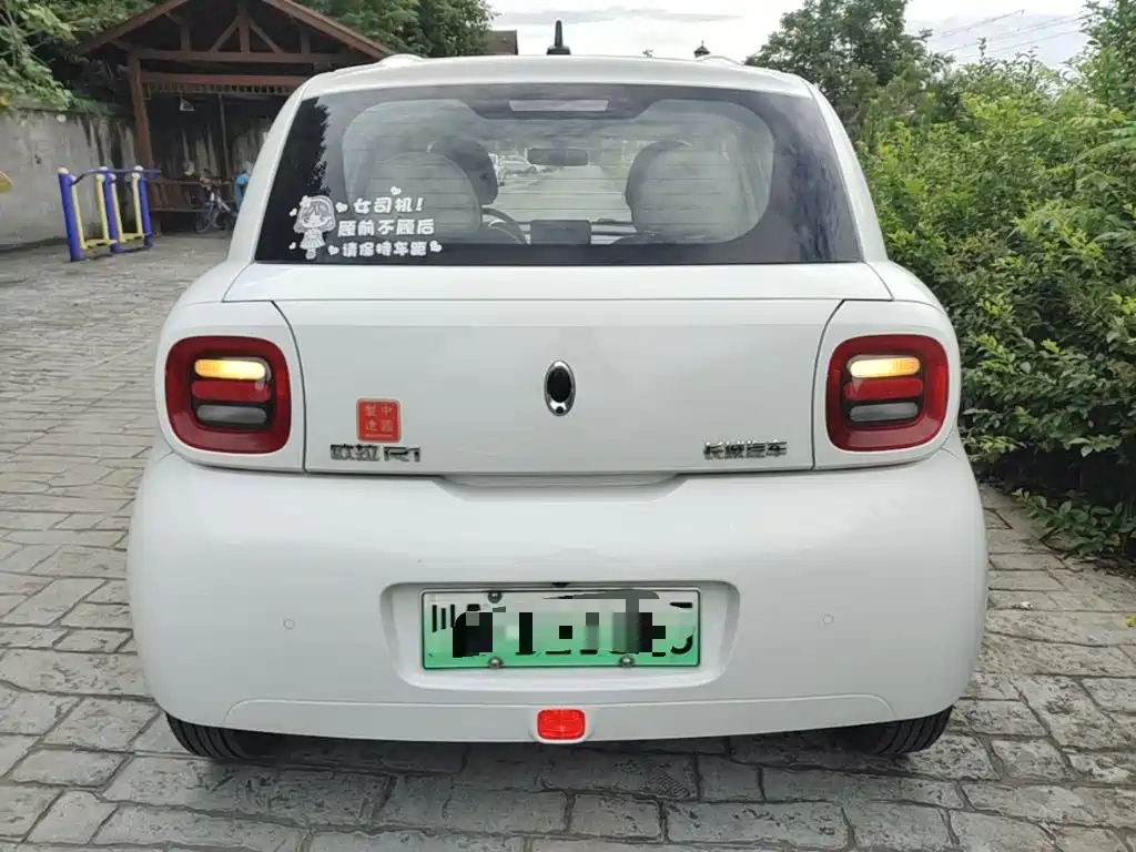 Ora Black Cat 2019 2019 Model 351km Smart Fun Edition