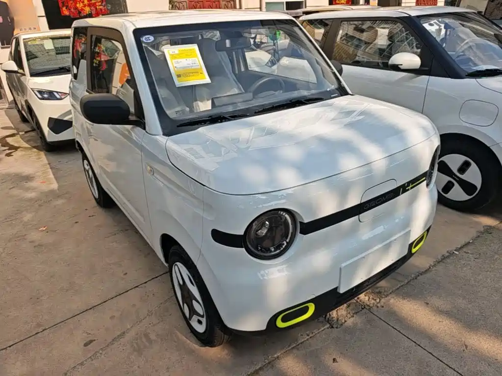 Geely Galaxy Panda 2026 2025 Panda mini 210km Vitality Bear