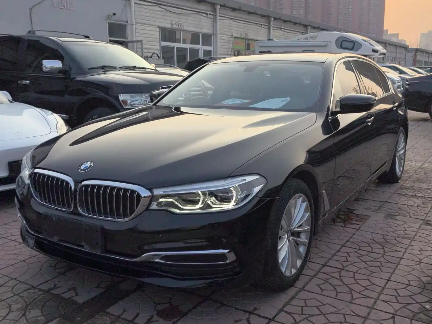 BMW 5 Series 2020 530Li Leading Luxury Package