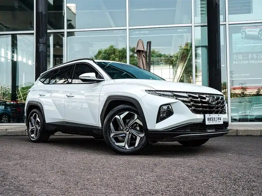 Hyundai Tucson 2021 Tucson L 1.5T DCT LUX Premium фото 10