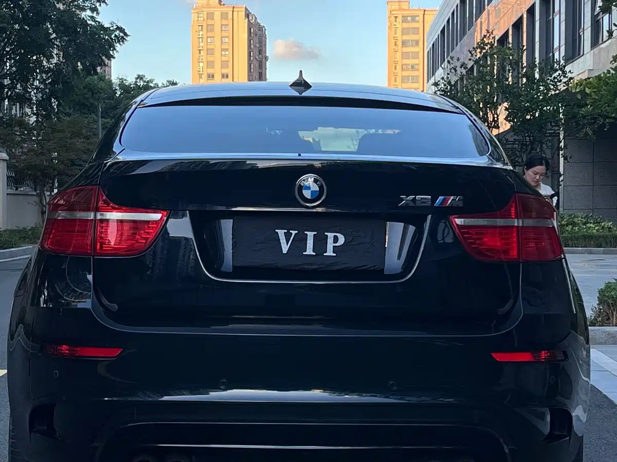 BMW X6 M 2011 2010 X6 M