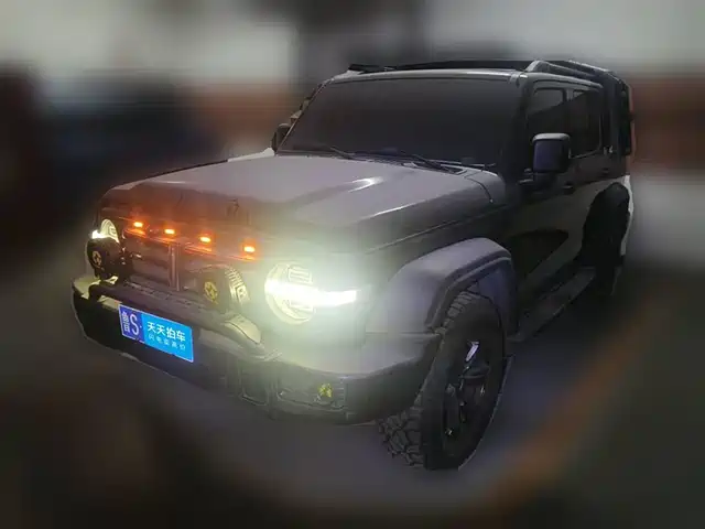 Tank 300 2021 Off-road Version 2.0T Conqueror — фото 1