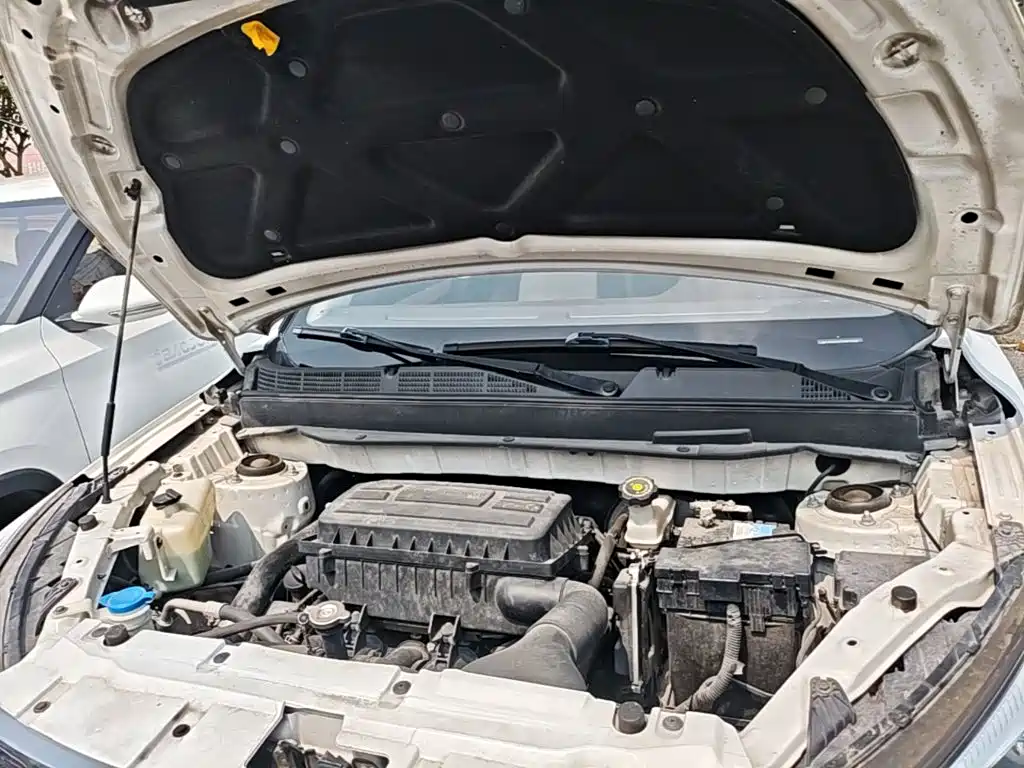 Leopaard CS9 2019 2018 1.5T CVT Vigorous Edition