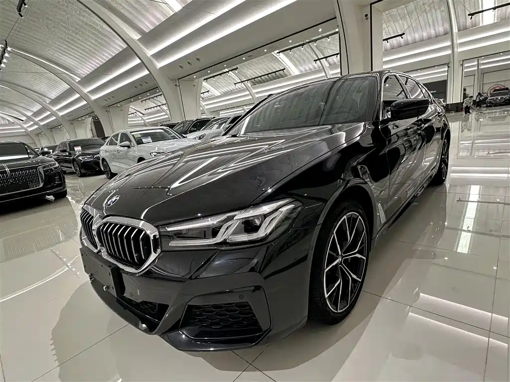 BMW 5 Series 2021 530Li Premium M Sport Package
