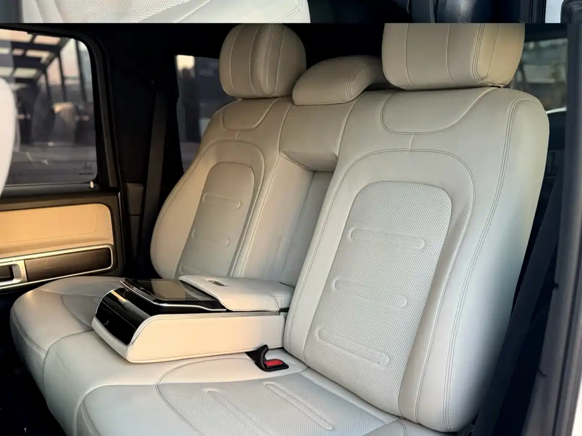 Mercedes-Benz G-Class 2023 G 350 фото 4