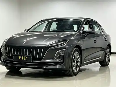Hongqi E-QM5