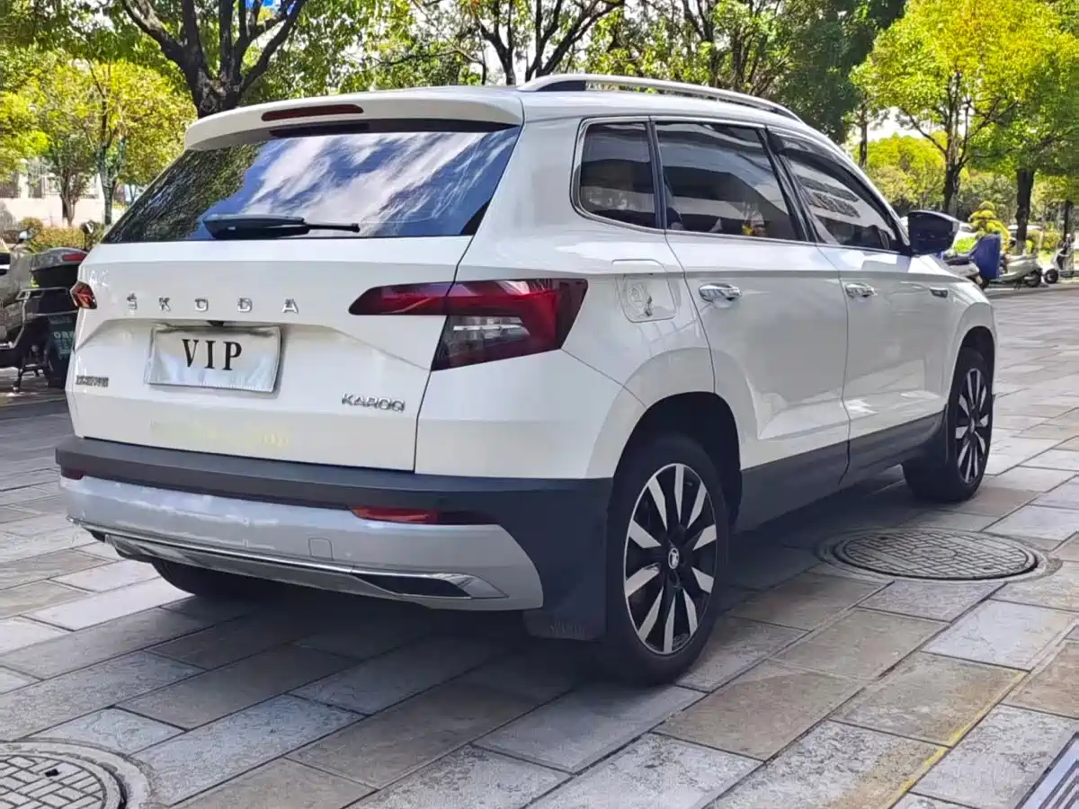 Фото 4 - Škoda Karoq