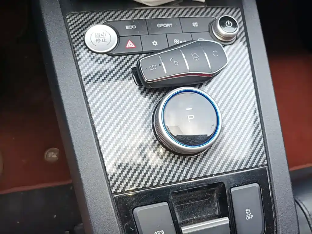 BYD e2 2020 Upgraded Long Range Luxury фото 14