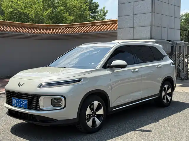  Wuling Motors Wuling Stellar Cloud 2023 2.0L DHT Flagship Edition
