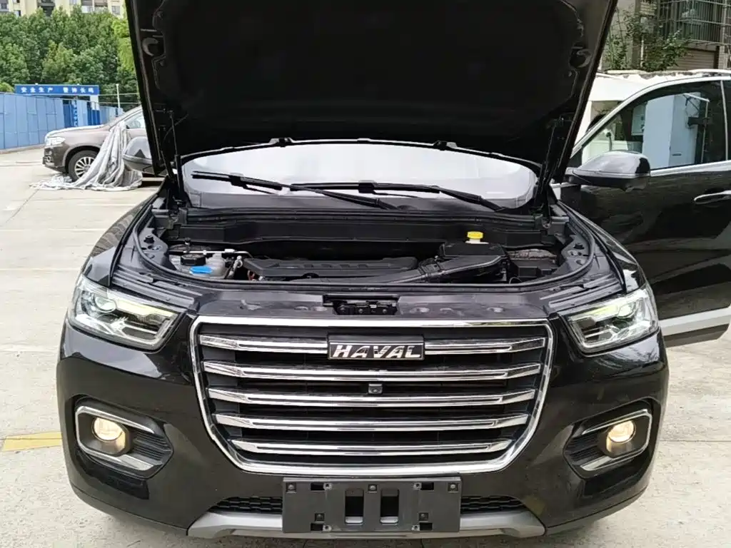 صورة 20 - Haval H6