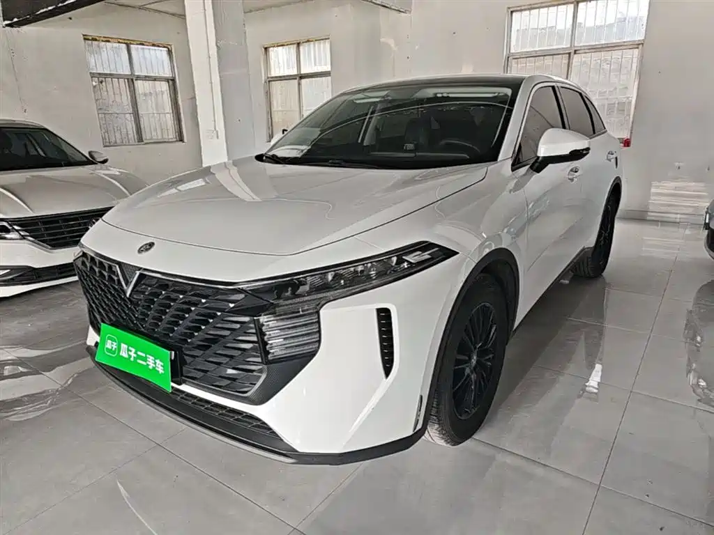 Venucia Big V 2021 260T Idol Edition