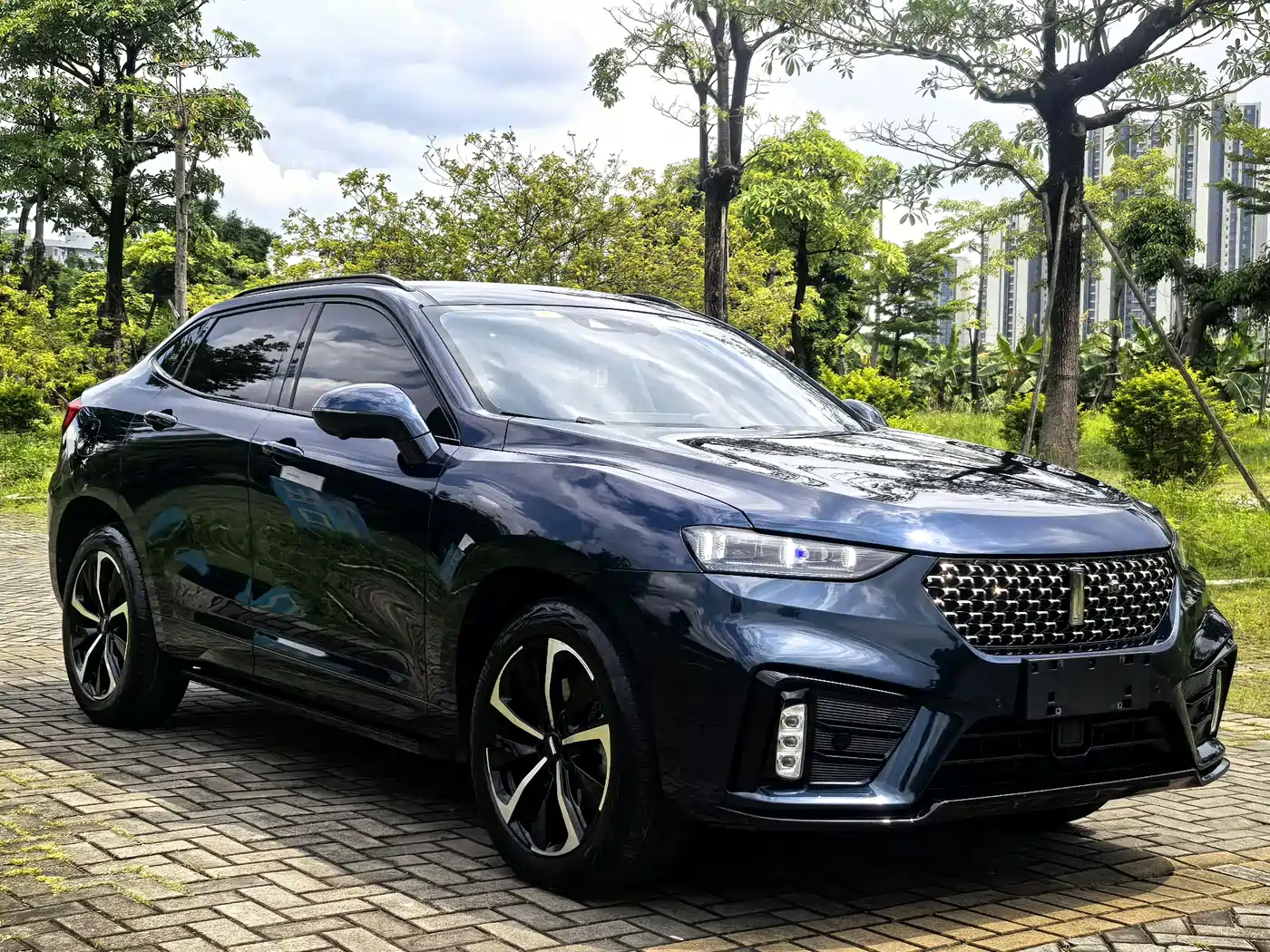 Фото 3 - WEY Wei VV7 GT