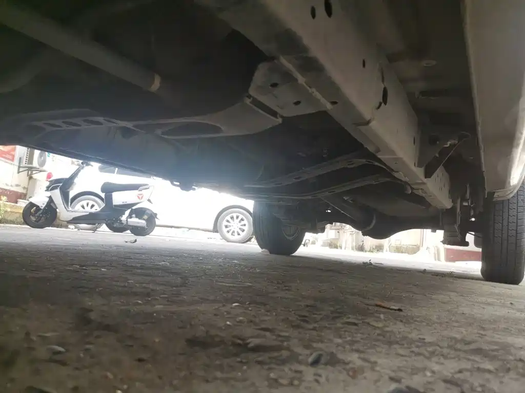 Dongfeng Ruiqi 2024 2023 2.4T Diesel 2WD Startup Long Cargo Box YCY24165-61