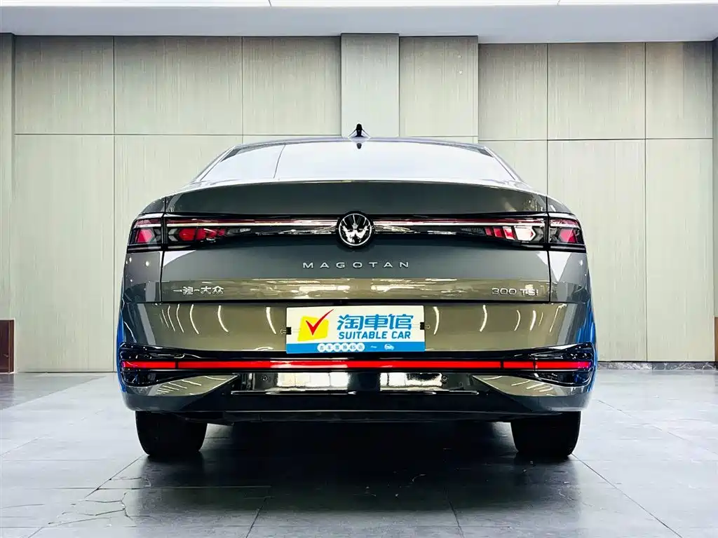 Volkswagen Magotan 2024 300TSI DSG Premium Edition (Eye-catching Package) фото 5