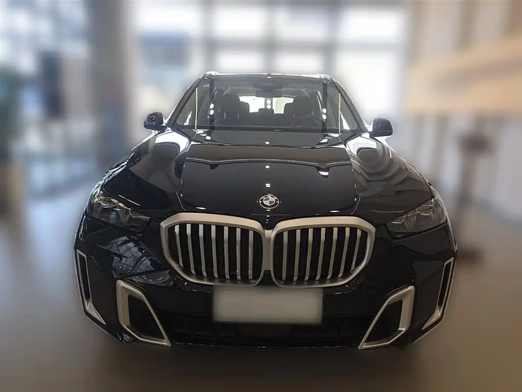BMW X5 2023 xDrive 30Li Premium M Sport Package фото 5