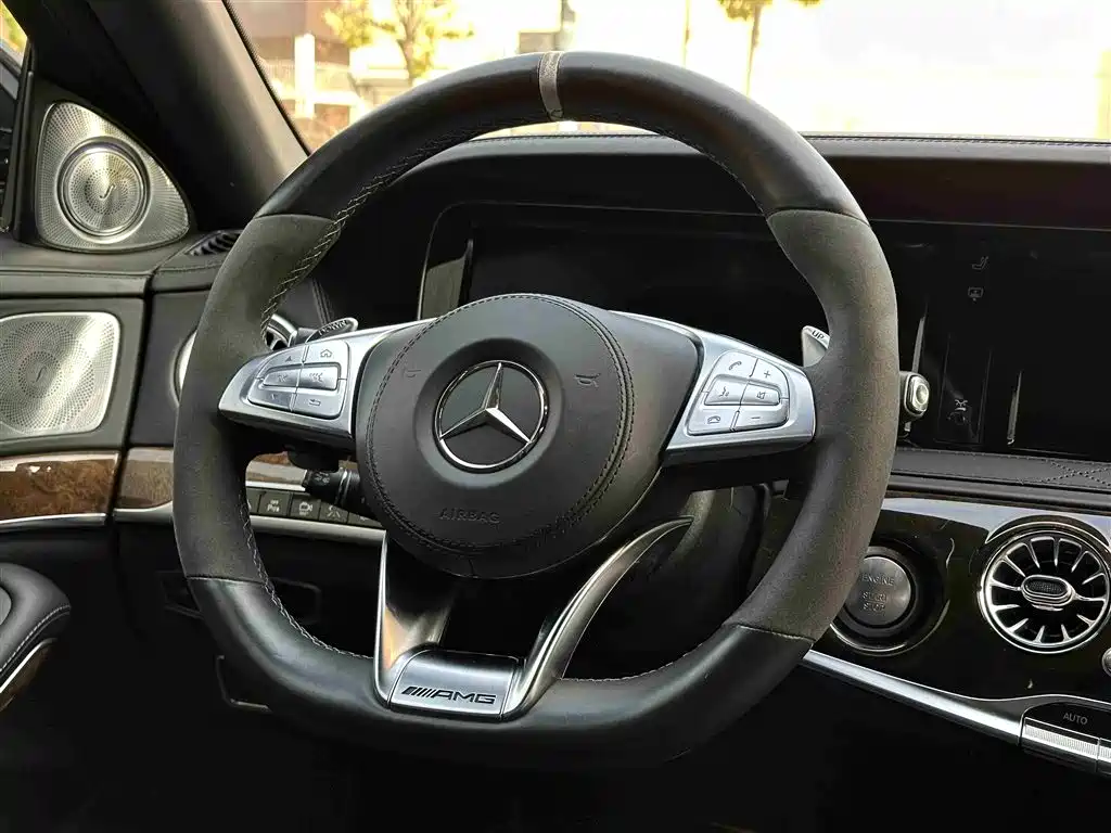 Mercedes-Benz S-Class AMG 2014 AMG S 65 L фото 5