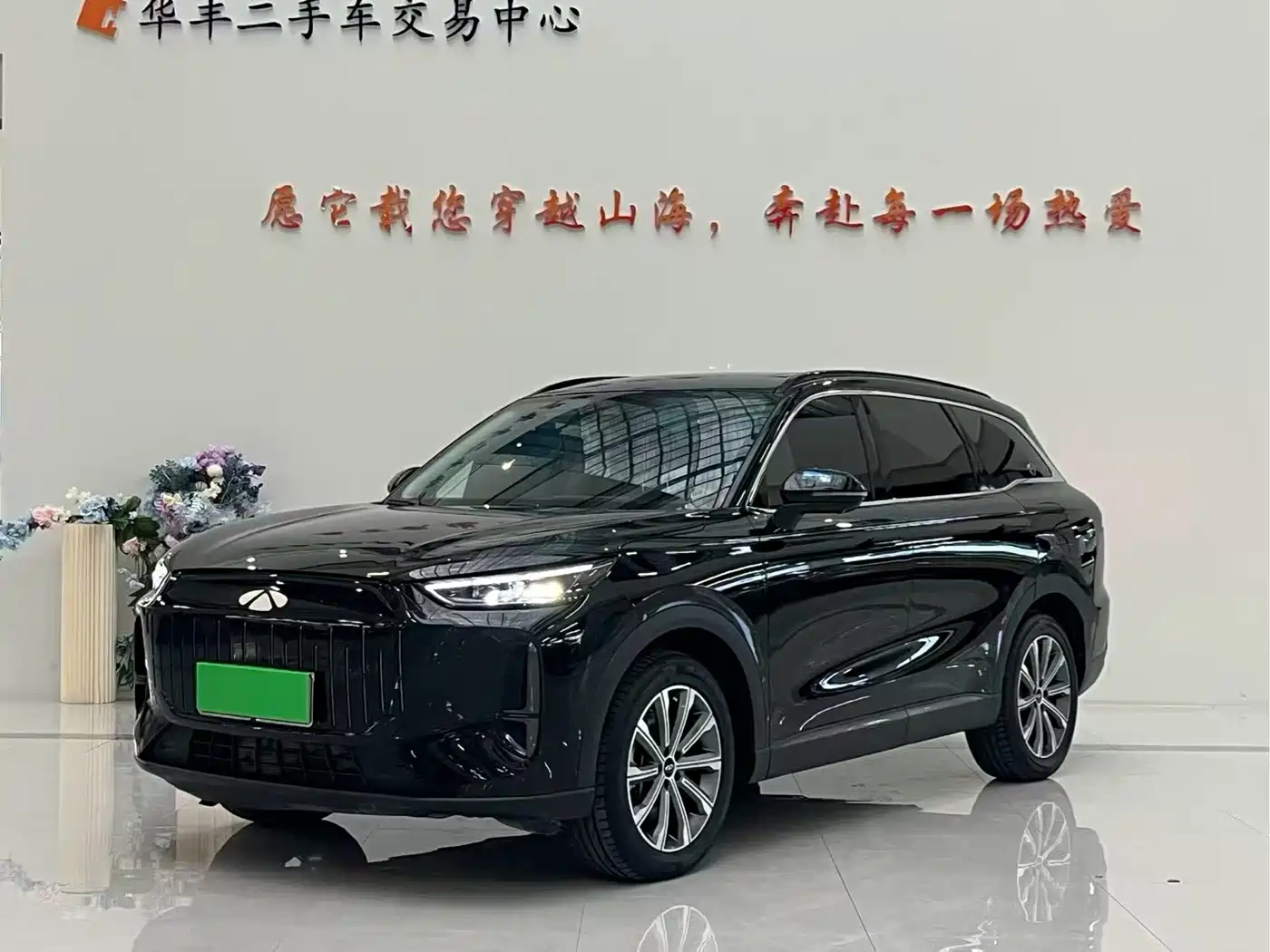 2025 Chery Fengyun Fengyun T9