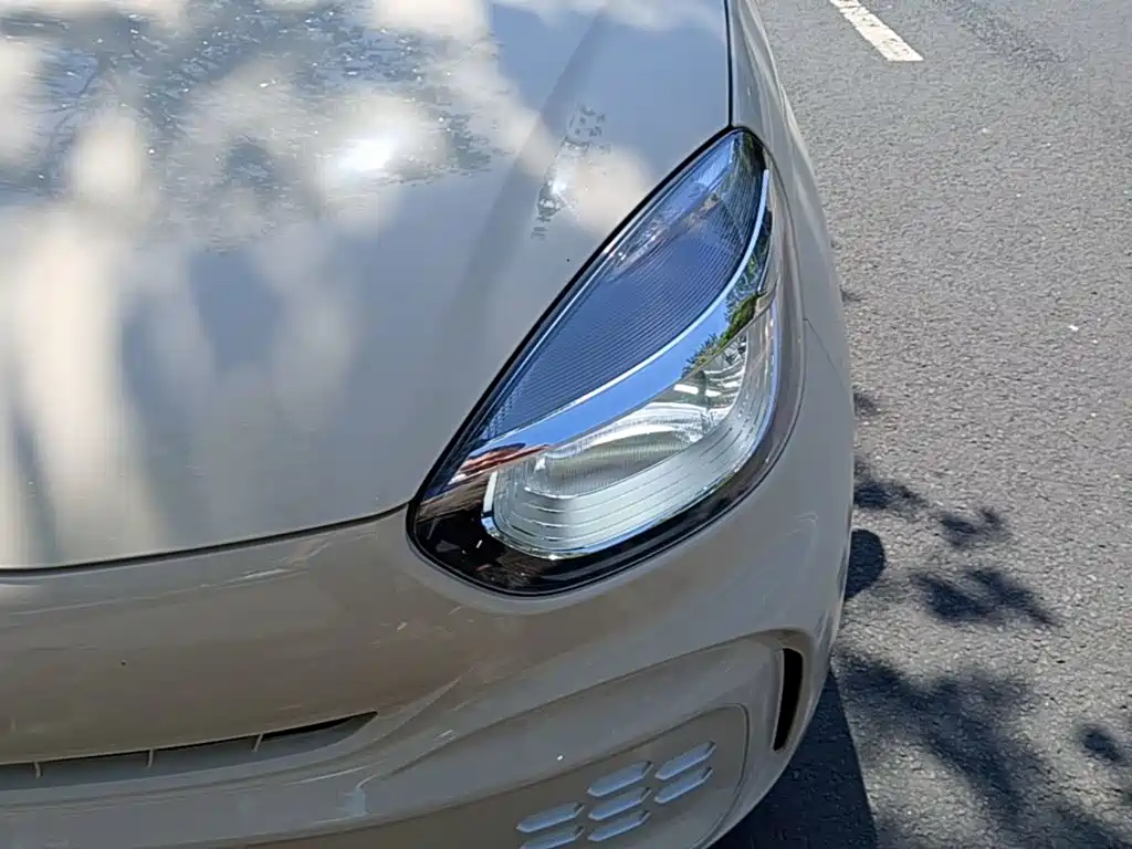 Roewe Kaiwei CLEVER 2024 2022 311km Vitality Bobo Edition