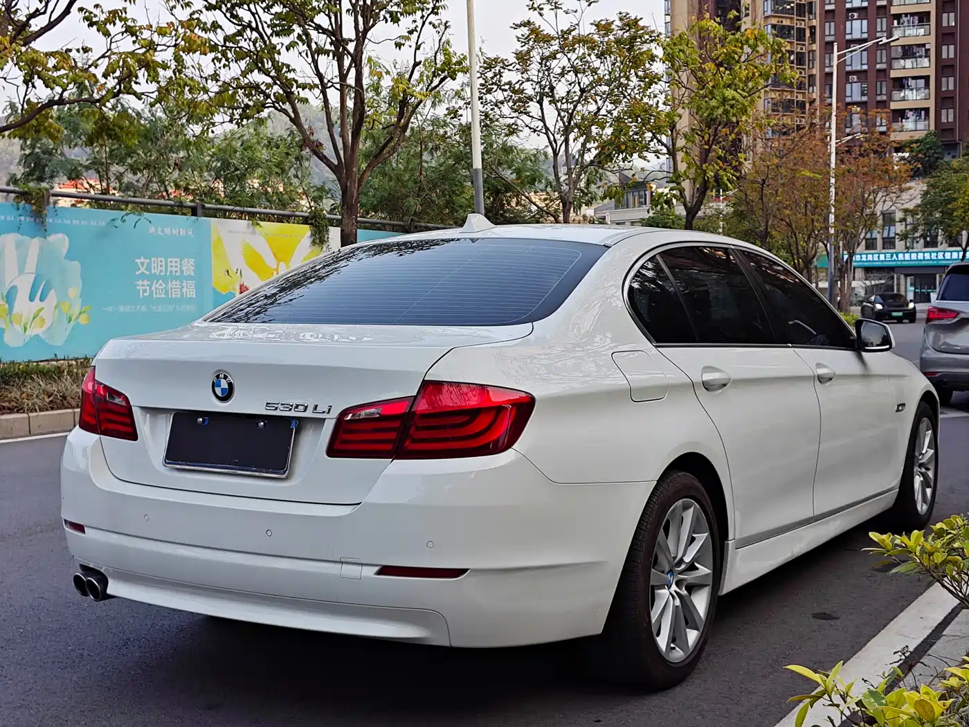 BMW 5 Series 2013 530Li Luxury фото 17