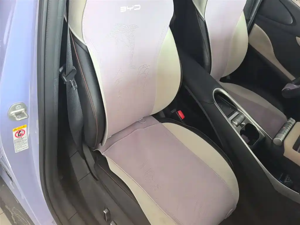 BYD Dolphin 2023 420km Fashion Edition фото 25