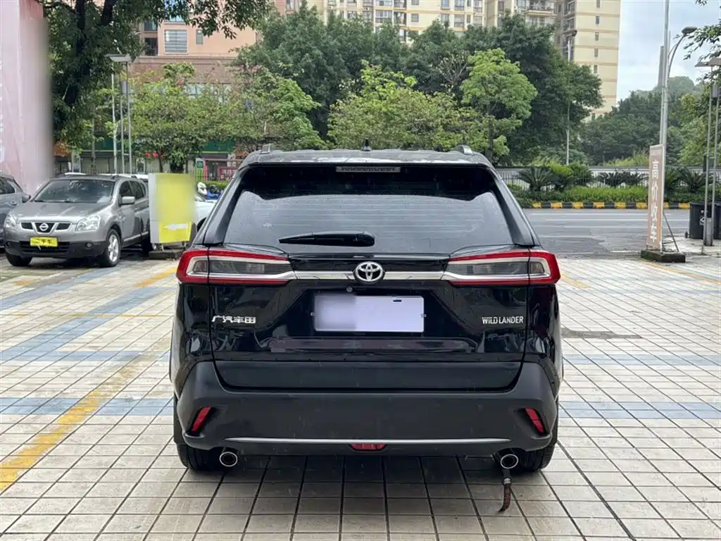 Toyota Wildlander 2024 2.0L CVT FWD Leading Edition фото 12