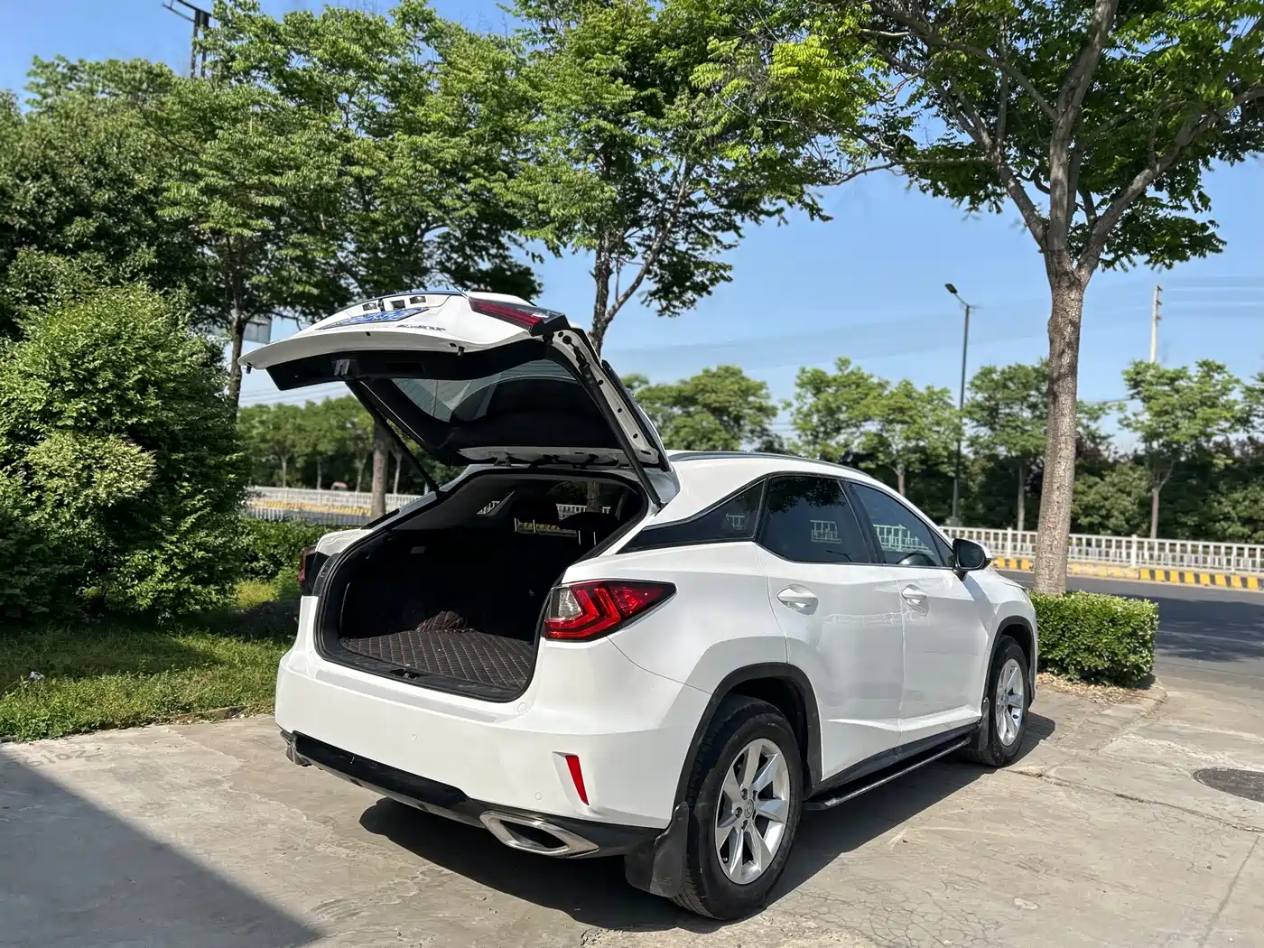 LEXUS RX