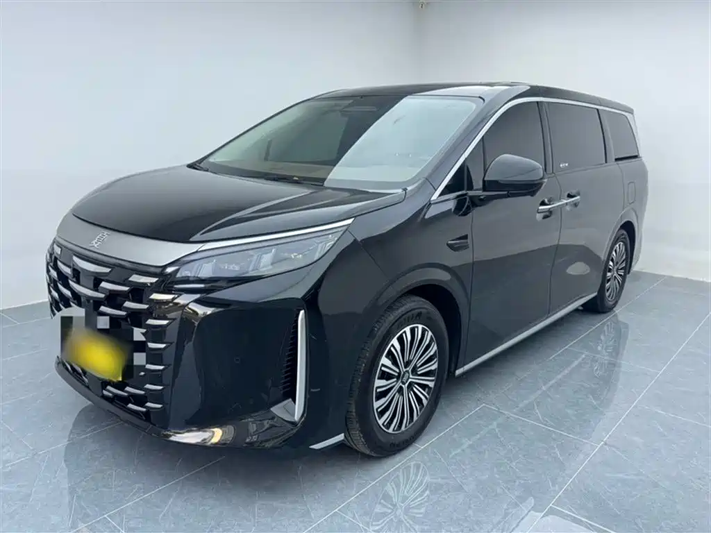 BYD Xia 2025 DM-i 1.5T 100km Surpass Edition
