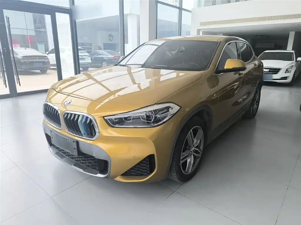 BMW X2 2020 sDrive25i Leading M Off-Road Package