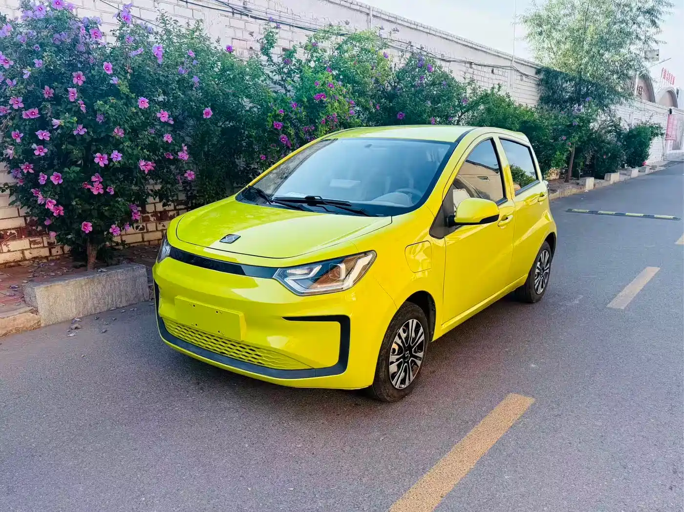 Sehol Flower Fairy 2021 2021 200km Classic Edition