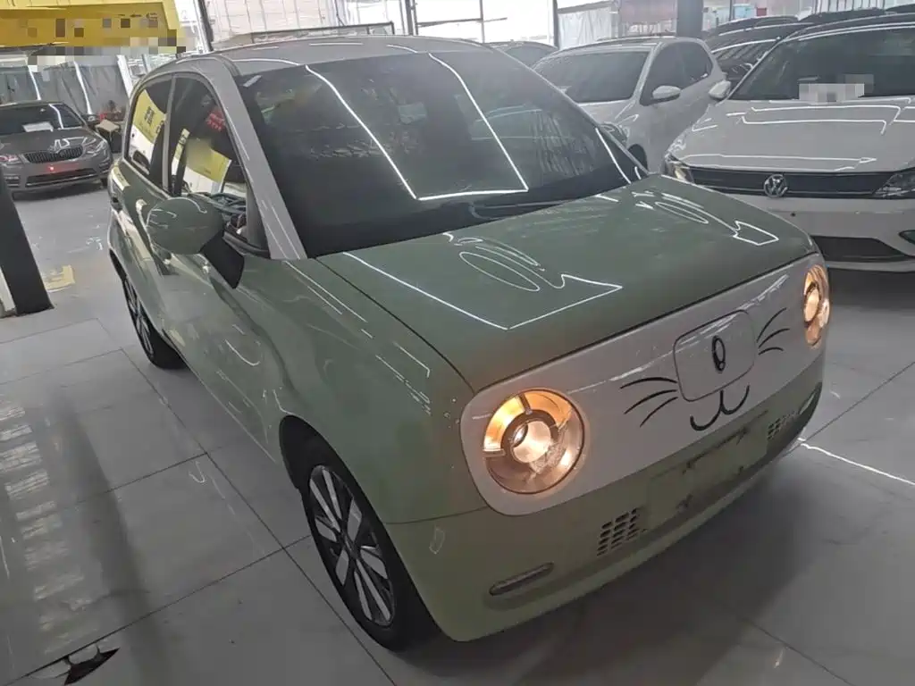 Ora Black Cat 2022 2022 351km Standard (NMC)