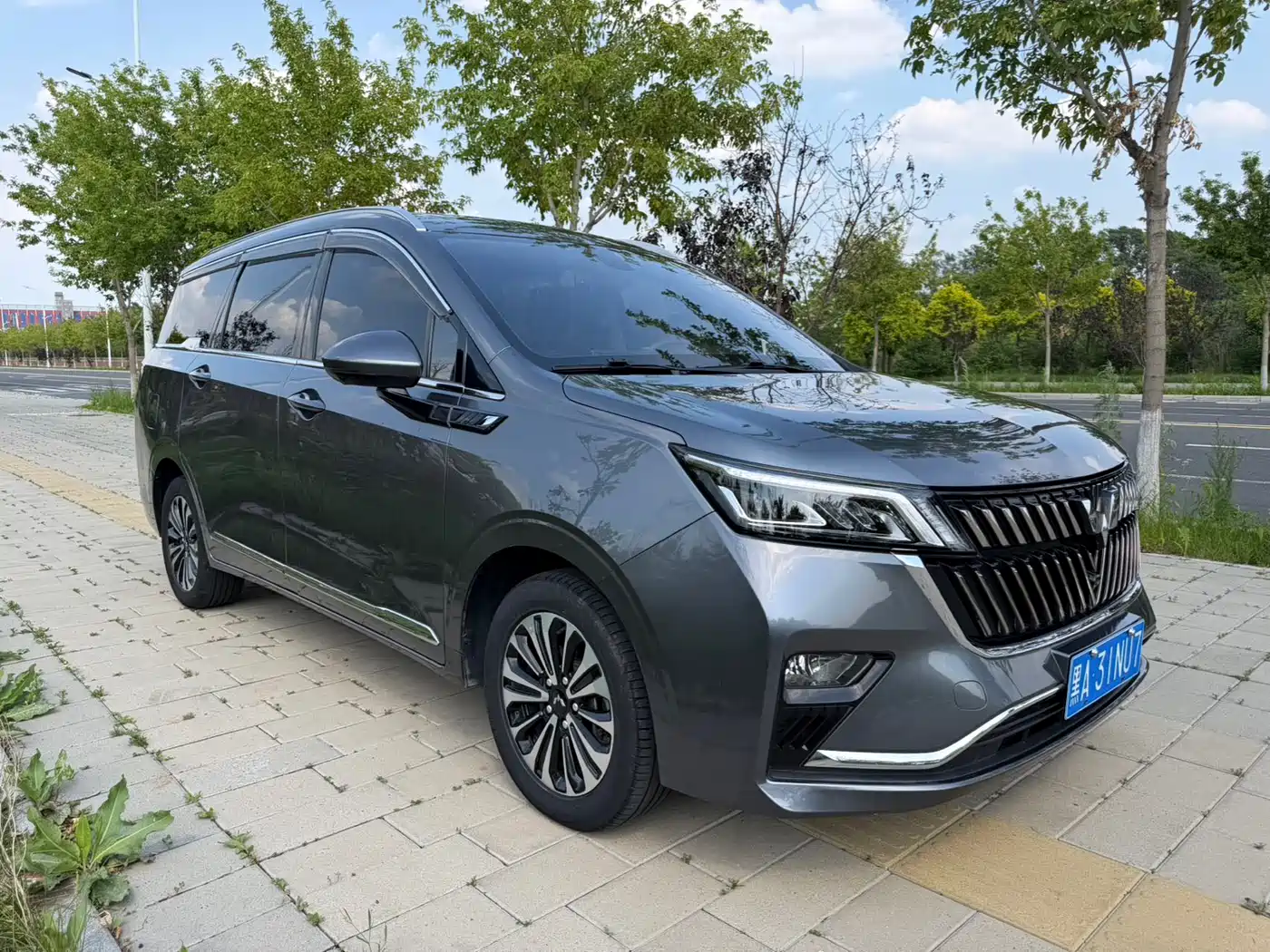 Wuling Motors Wuling Jiachen 2022 2022 1.5T CVT Exclusive Flagship Model