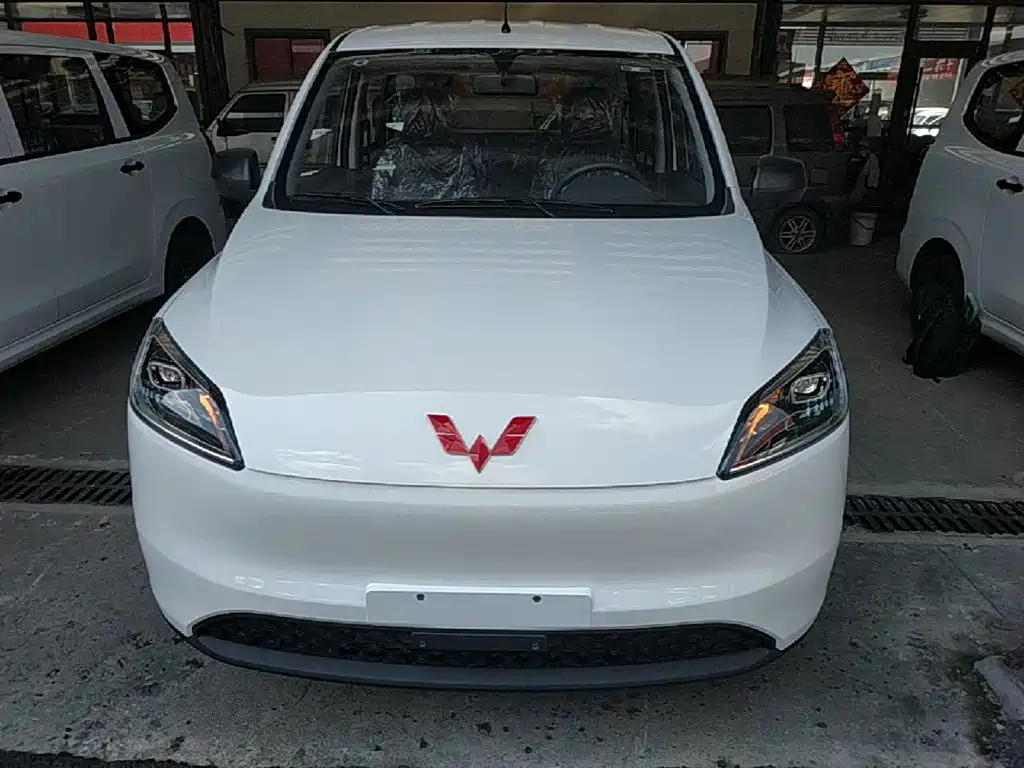2026 Wuling Motors Wuling Hongguang New Energy