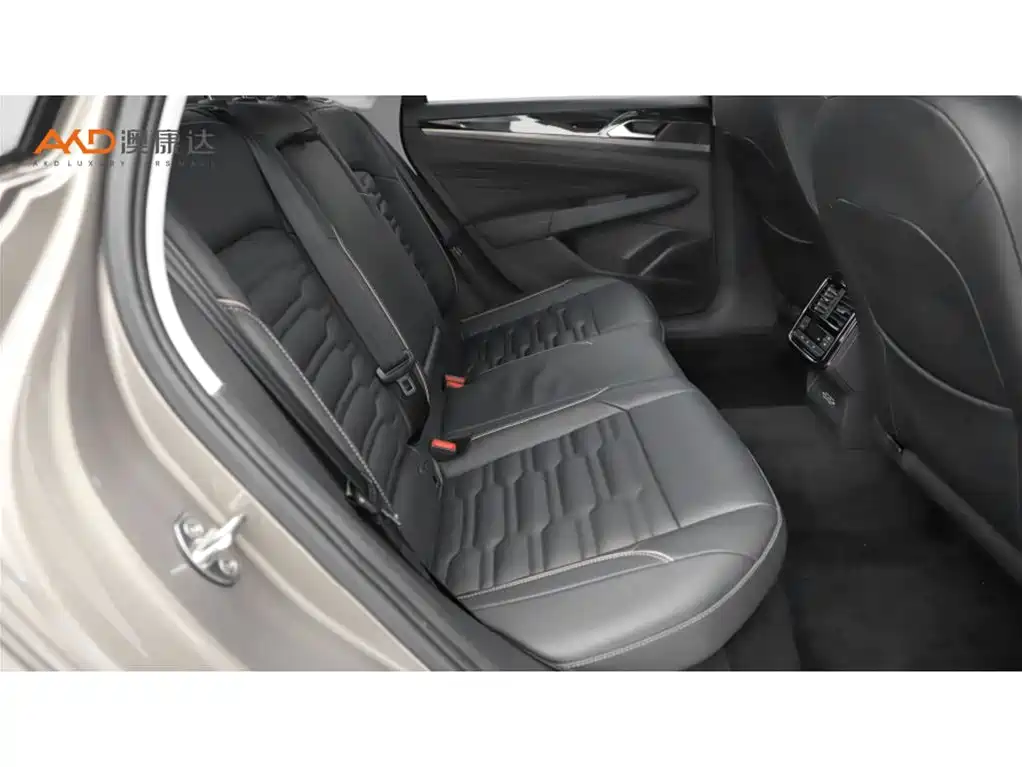 صورة 8 - Volkswagen Passat