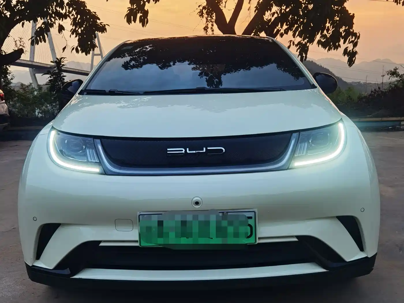 BYD Dolphin 2024 Glory Edition 420km Fashion Edition