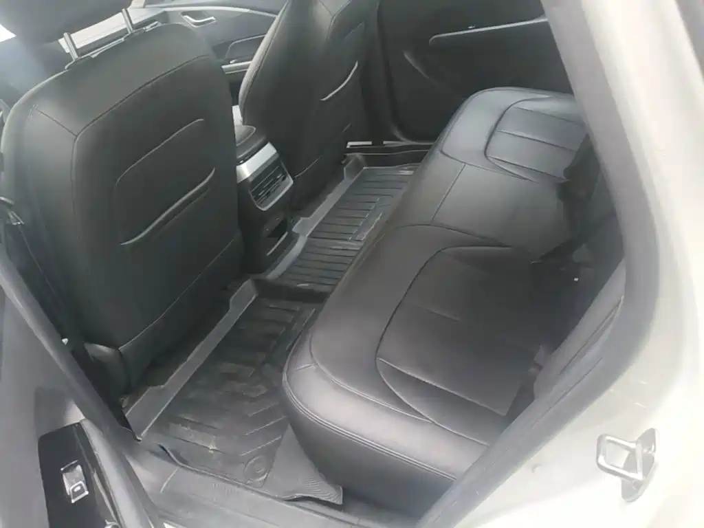 Wuling Motors Wuling Xingguang 2024 2023 150 Advanced Edition