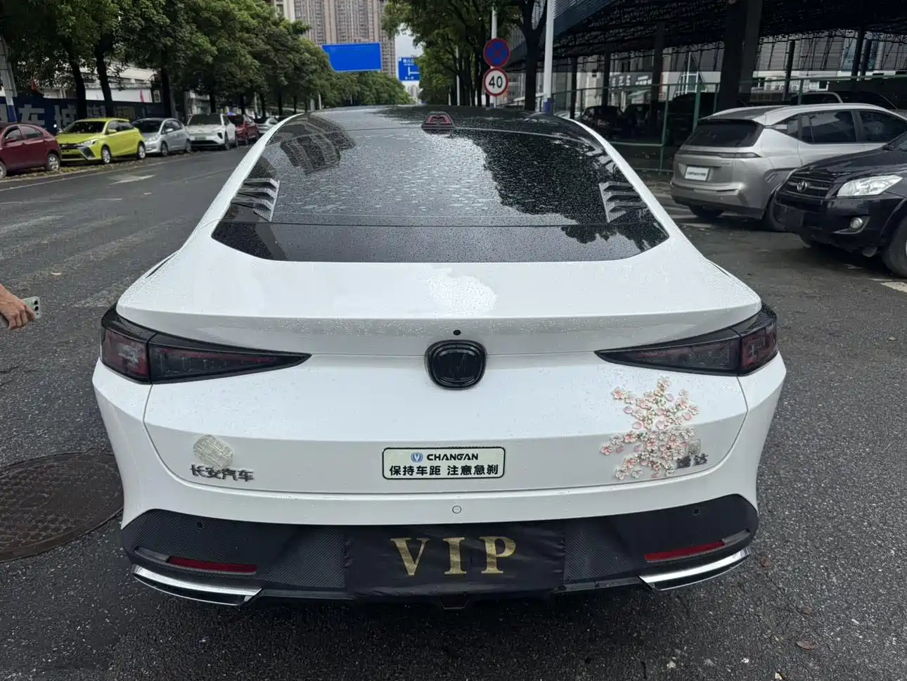Changan Yida 2023 2023 Blue Whale NE 1.5T GDI DCT Pilot