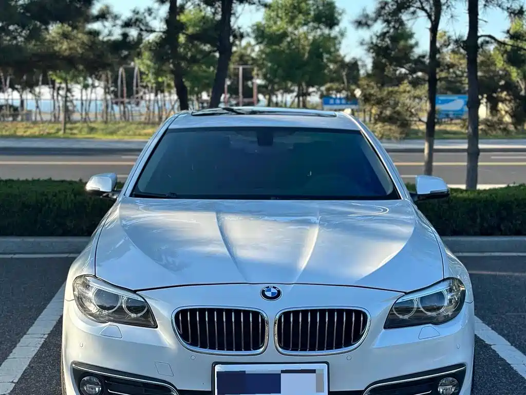 BMW 5 Series 2017 525Li Luxury Design Package фото 3
