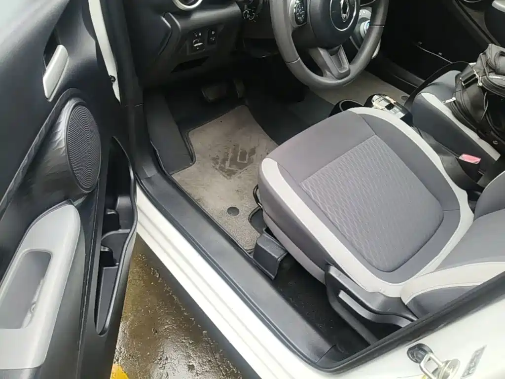 Ora Black Cat 2019 2019 Model 351km Smart Intelligence Edition